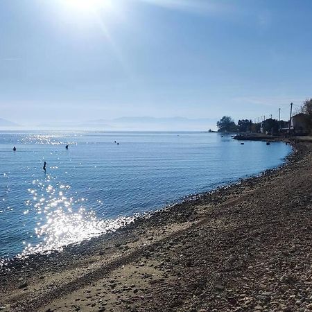 Malakion Rustic Studio Seaside View المظهر الخارجي الصورة
